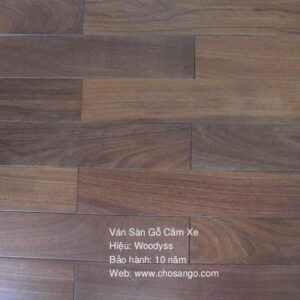 Sàn Gỗ Chiu Liu 450