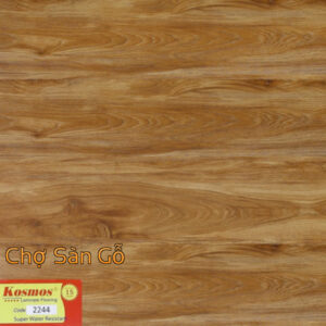 San-go-kosmos-ts-2244