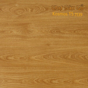 san-go-Kosmos-TS7539