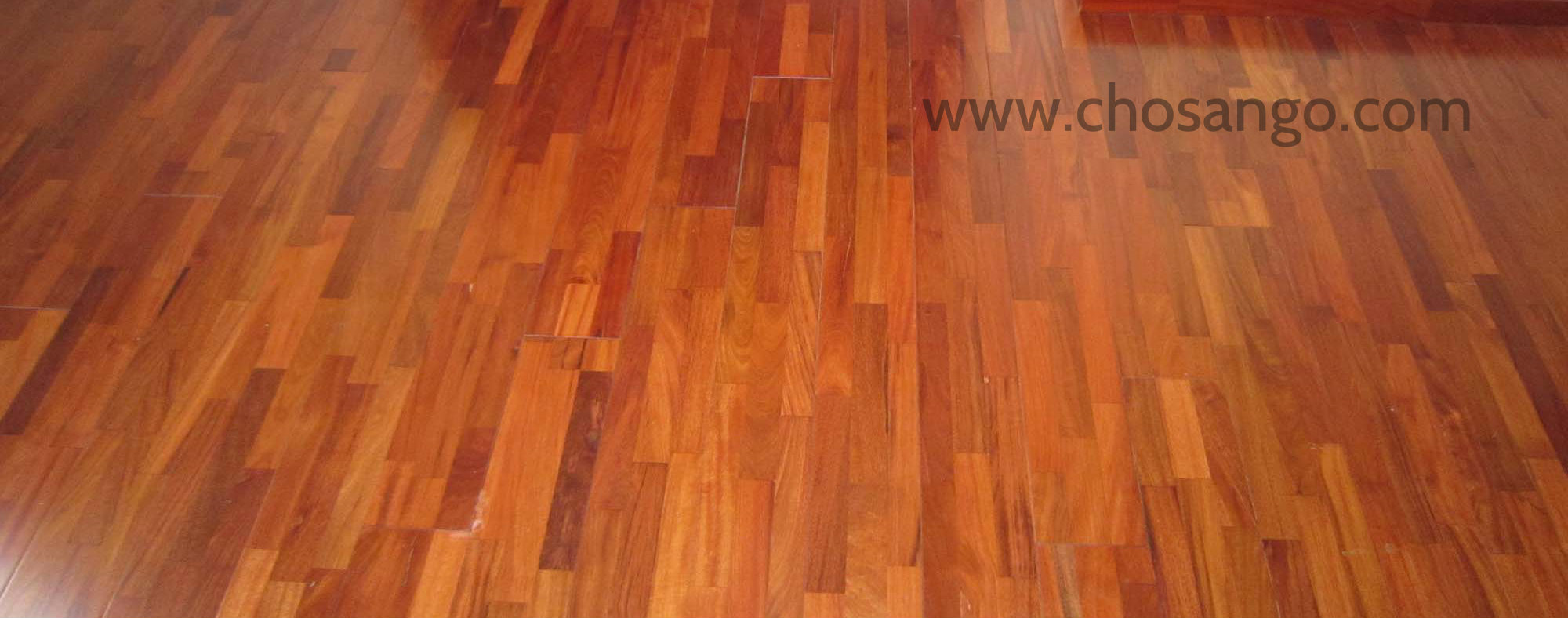 Sàn gỗ Tiền Giang